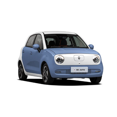 ZWARTE CAT Mini EV Auto's 4 van ORA Elektrisch de Auto Slim Ce van Wielen Volwassen Rhd
