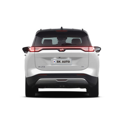 Elektrische Auto 5 van de Weltmeisterw6 volledig Elektrische Suv Gebruikte Lhd Batterij Seat 4 Deuren