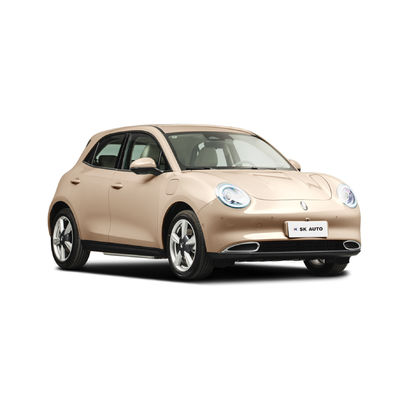 Van de Muurora van dameMini EV Auto's 150km/h de Grote Goede Kat 105KW