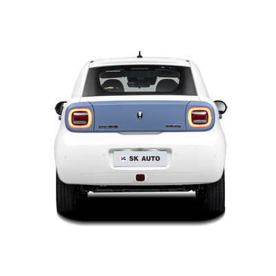 Grote Muurora R1 Zwarte Cat Electric Car 102km/H Hoge snelheid