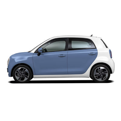 Grote Muurora R1 Zwarte Cat Electric Car 102km/H Hoge snelheid