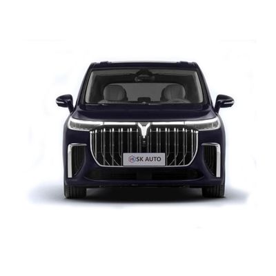 Voyahescapist 7 van de Plaatsingsev van de Zetelsluxe de Autompv 4WD Elektrische Auto's voor Familie of Zaken