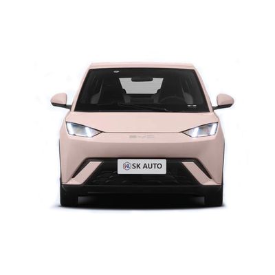 Automatische transmissie 3-4 uur oplaadtijd Seagull BYD EV Auto accu aangedreven
