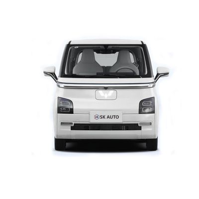 2023 Wuling Air Ev Range 300 km Mini Electric Cars