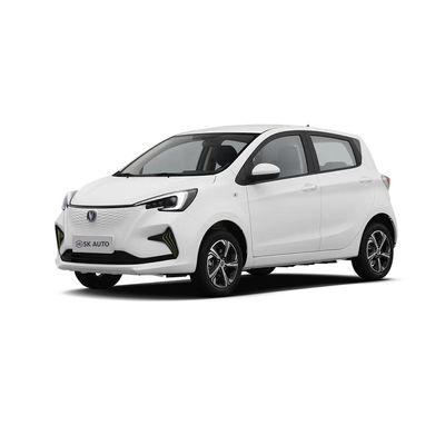 2024 Changan E-Star EV Mini Car Pure Electric Cars Euro VI Standard Tax-Free Electric Cars De prijs van de auto is niet bepaald.