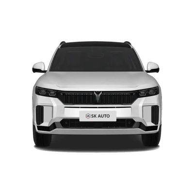 2025 VOYAH GRATIS 318 China New Energy Vehicle SUV Range 318KM Achterwiel aandrijving Vierwiel