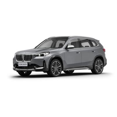 BMW X1 2.0T 204 pk L4 5-deurs SUV voor benzine-gas auto liefhebbers