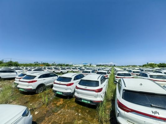 Gebruikt bereik 400km 160kW elektrische SUV Weltmeister tweedehands auto goede staat lage kilometertelling zwart