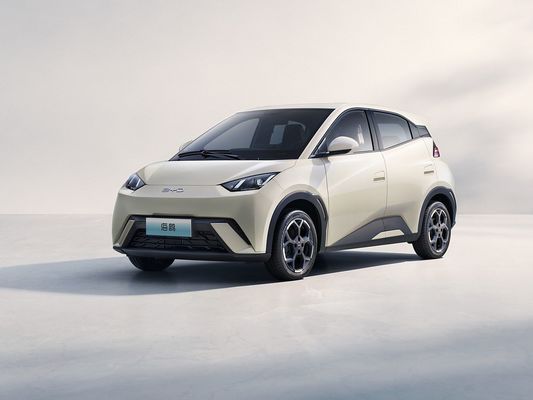 2025 Nieuw Model BYD Seagull Fast Charging Elektrisch Voertuig Hot Selling Mini EV Long Range en Big Battery 405KM